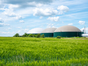biogas-and-biomethane-treatment-solution-to-remove-contaminants
