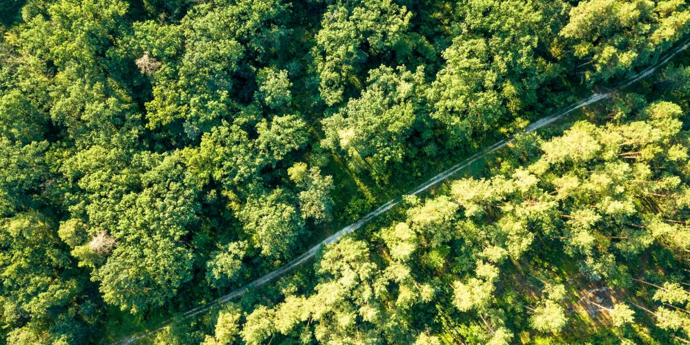 Biogas-and-biomethane-treatment-with-activated-carbon