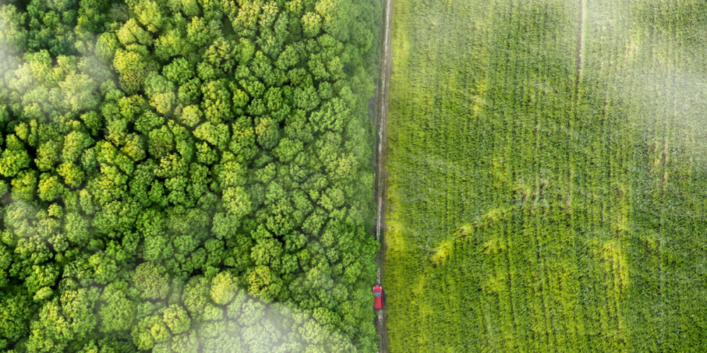 biogas-and-biomethane-purification